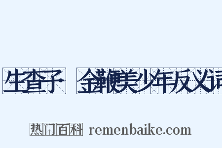 生查子·金鞭美少年反义词是什么意思的图片
